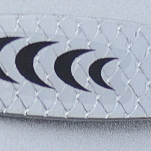 БЛЕСНА (Fisher)